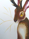 Jackalope - Small Art print A5 size (148 x 210mm, 5.8 x 8.3 inches)