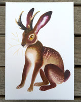 Jackalope - Small Art print A5 size (148 x 210mm, 5.8 x 8.3 inches)