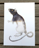 Inky Rat - Small Art print A5 size (148 x 210mm, 5.8 x 8.3 inches)