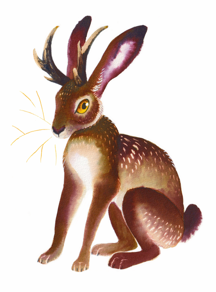 Jackalope - Small Art print A5 size (148 x 210mm, 5.8 x 8.3 inches)