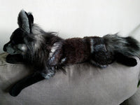 Midnight Sky Wolf - Large handmade plush animal - realistic faux fur
